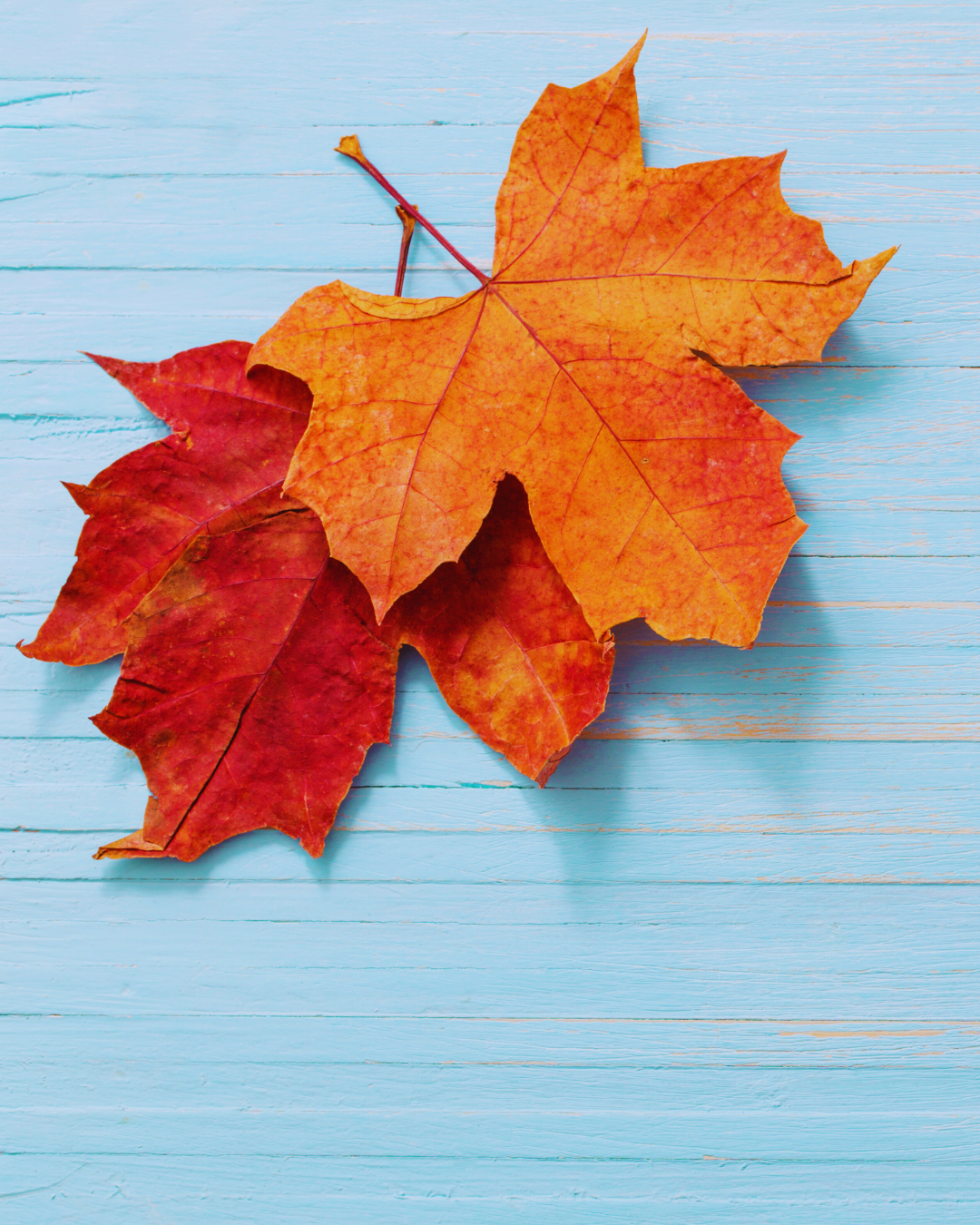 Social Media content ideas